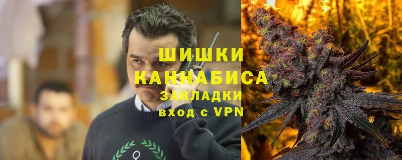 Каннабис план  Кашира 